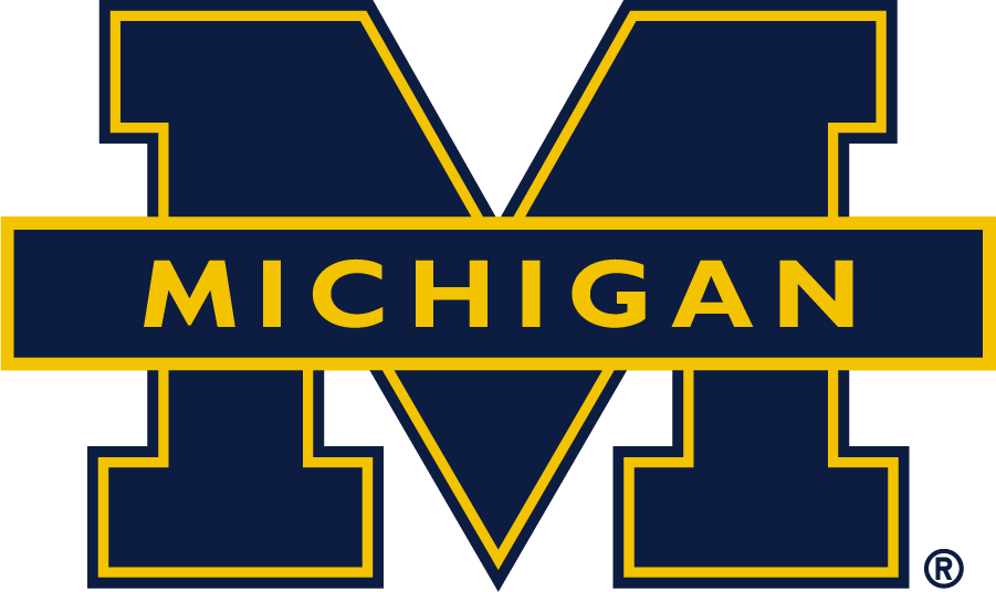 Michigan Wolverines 2016-Pres Secondary Logo v3 t shirts iron on transfers